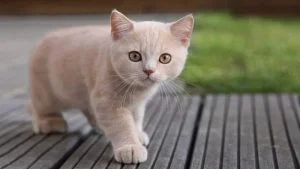 Bienvenid@!!!