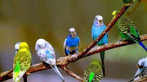Bienvenid@!!!
