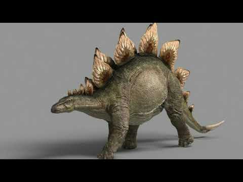 Descubre los tipos de dinosaurios herbívoros: guía completa Descubre los tipos de dinosaurios herbívoros: guía completa