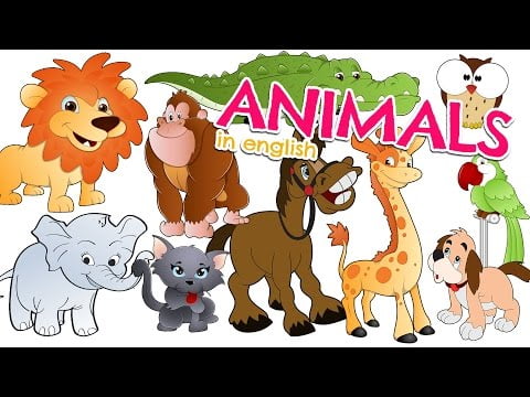 Animales que empiezan por E - Spanish and English