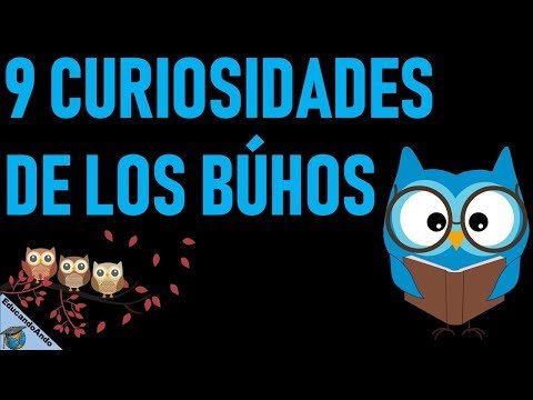 Búho Real: Características y Curiosidades de esta Especie Búho Real: Características y Curiosidades de esta Especie