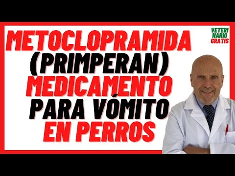 Guía de dosis y beneficios del Primperan para perros