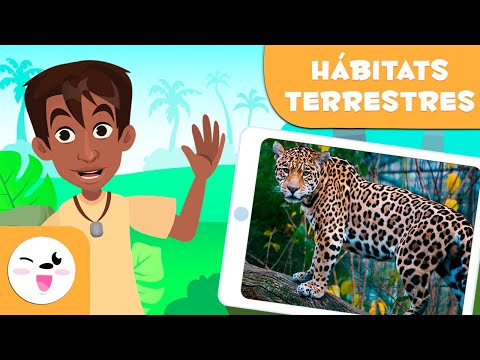 Descubre los 12 animales del bosque: ¡Conoce su hábitat y características!