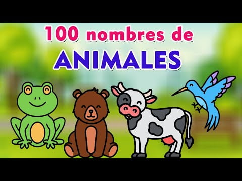 10 animales que empiezan por M: Descubre su diversidad y características 10 animales que empiezan por M: Descubre su diversidad y características
