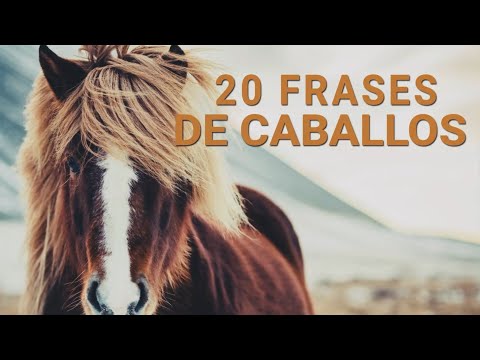 Descubre las mejores frases de caballos para inspirarte