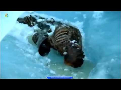 Descubre la verdad sobre si existen los dragones Descubre la verdad sobre si existen los dragones