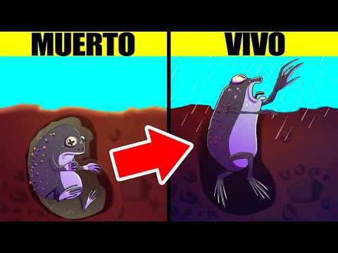 Descubre los animales más fuertes del planeta Descubre los animales más fuertes del planeta