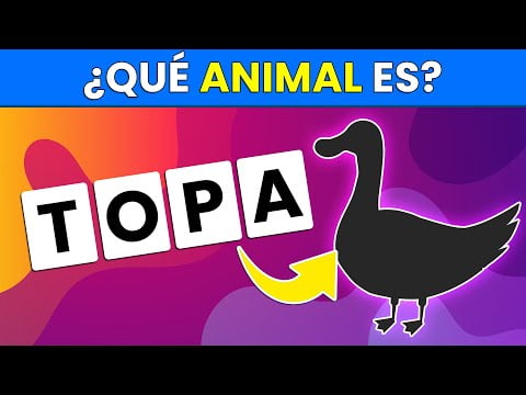 Descubre los animales que empiezan por D: Una lista fascinante