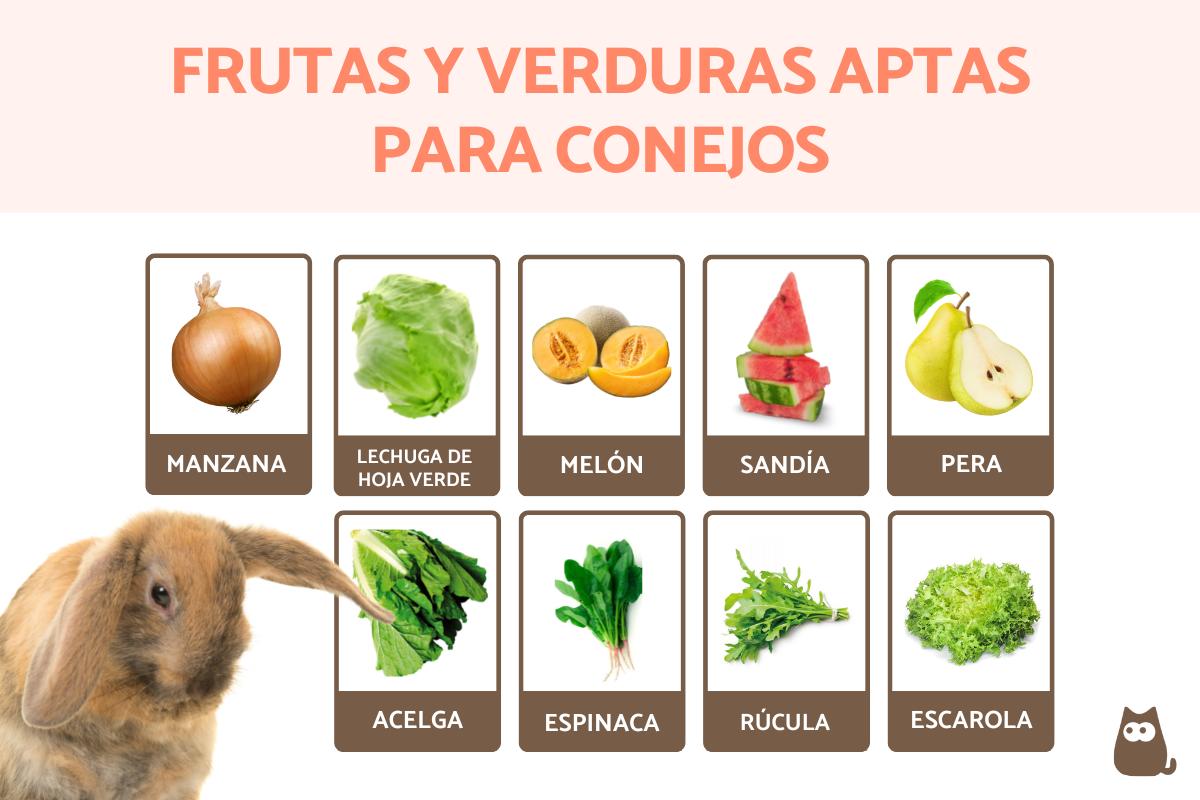 Frutas Y Verduras Ideales Para Conejos: Recomendaciones - Mascotas ...