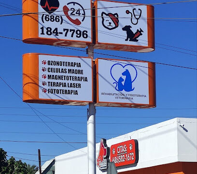 AF1QipMC5ovcs3sSW2lQk4Q4-MVwxOtT9u-bAVK5vQB3w408-h711-k-no.jpg