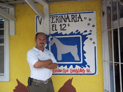 Veterinaria “El 12”