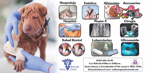 Clinica Veterinaria Felix Animal Care