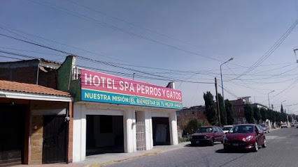 AF1QipNryog6ekLGS0e2gT7j38PjbrldOnDoLwJ_rK0Sw426-h240-k-no.jpg