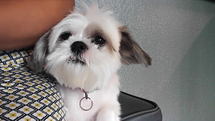 MNS G2 N1 O0.00 Y0.00 C0.00 YT0 CT0 S0 BS S(80)B(30)R(0) FM0 FC000000000