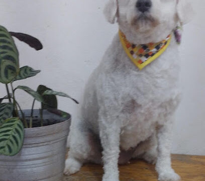 AF1QipO8rS-0Cr0MWh7X_Lq_X3-063aze8BPwu2EJtl2w408-h480-k-no.jpg