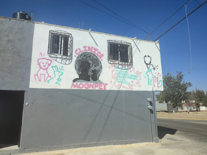 AF1QipOPXMSwMe2fwMFOAlLt0ShOf8nMuewAdZIbdfLVw408-h306-k-no.jpg