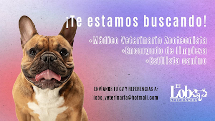AF1QipOUuU71zJ6Rdj-5Am8zhjHgC0BWDt3Jqf7JSbF1w427-h240-k-no.png