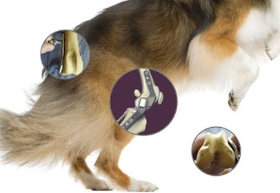 AF1QipObyPFdFj3LlKSAXMG4_pfUD4UlR44JF_p8cjk1w408-h281-k-no.jpg