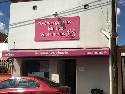 Emergencias Médico Veterinarias