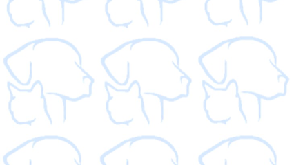 AF1QipP-sKNFfHvJsEjJffROEtNt7D9J6mKsPXnTpGGzw426-h240-k-no.png