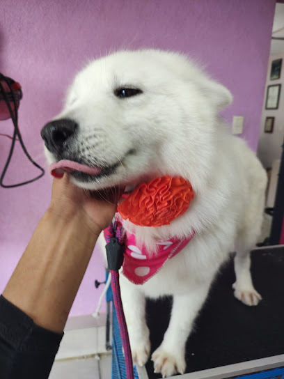 AF1QipPDHj0J-QDYoqqLDa8lzTSplOQ_7eOfQ-0Bznc1w408-h544-k-no.jpg