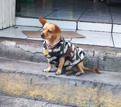 AF1QipPHxTgJXIco-NRAmbwURyhYy_wVLdQvU3rBuLTtw408-h545-k-no.jpg