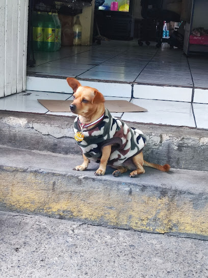 AF1QipPHxTgJXIco-NRAmbwURyhYy_wVLdQvU3rBuLTtw408-h545-k-no.jpg