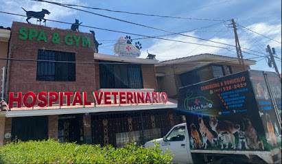 Vet Care Movil