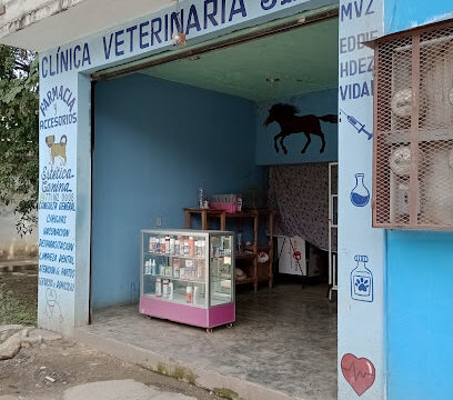 Veterinaria Jireh