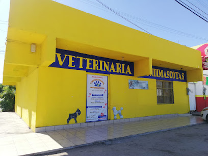 VETERINARIA MUNDIMASCOTAS