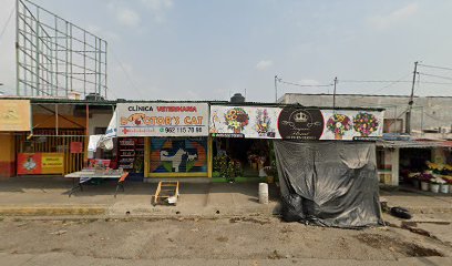 thumbnail-193.jpg
