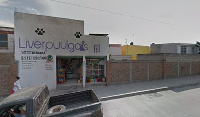 thumbnail-720.jpg