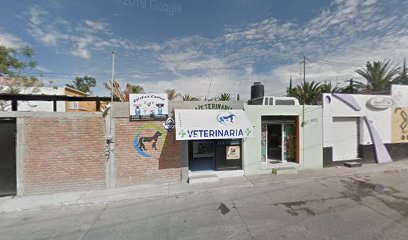 SEVSA SERVICIOS VETERINARIOS