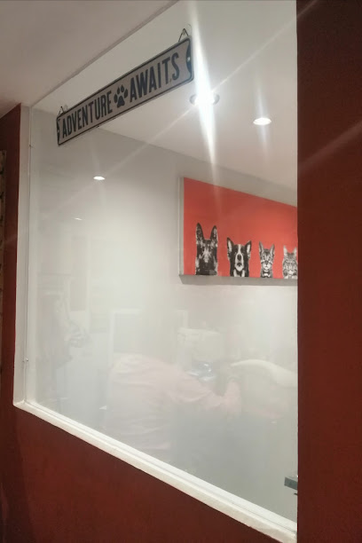 AF1QipM-aNzohRddYGRi_a3XI0HDsnd2tJjNTmq5SQF2w408-h612-k-no.jpg