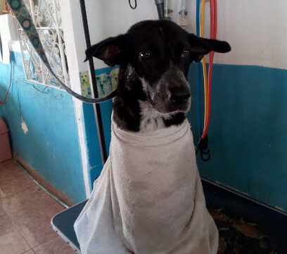 AF1QipM0bvPTeCi8N0hLUlfKS7v8P2D3Hn15MRxfNCow408-h544-k-no.jpg
