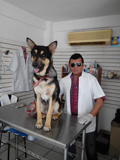 AF1QipM3W2EYlyiW-d9195UsUMvY9eWxFwfvG9g1JEAzw408-h544-k-no.jpg
