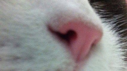 AF1QipM7qxqQaxV7mTRKYjMn0Mh0B3yQTVRGuk4snY-Gw426-h240-k-no.jpg
