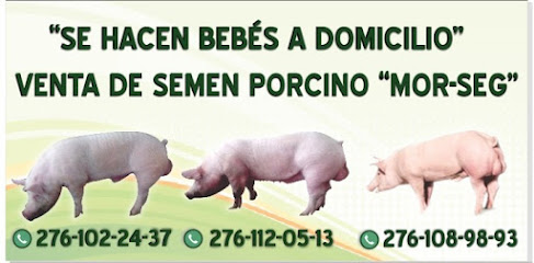 AF1QipM8UNFy66Vzj_j88vdXCgQF_umbOqVvmoaat8uiw487-h240-k-no.jpg