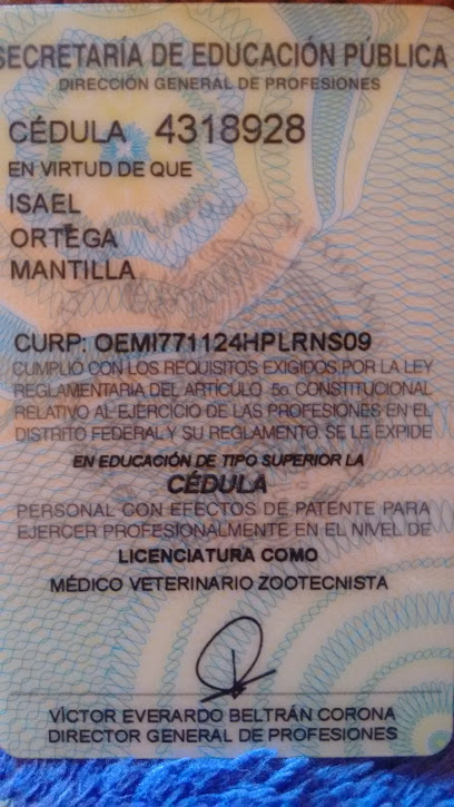 AF1QipMSCwhpHXqktIWoFJ4BOIe06iNsRdtE_rqTl02-w408-h725-k-no.jpg