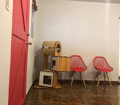 AF1QipMkbmYkgo_jHUPRNKLpIswcROtU71Q78Moy28h3w408-h544-k-no.jpg