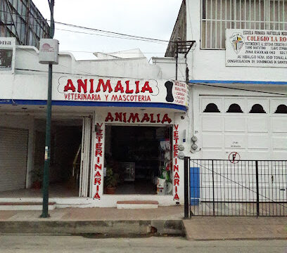 AF1QipMlm2N_Ic3P9oNMu2mHHA7AuV3ceenVtXzXHCVKw408-h544-k-no.jpg