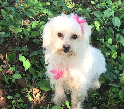 AF1QipNBepM2Lwxsxc7pvhyAsFfRCpKoo7RDsafzk487w408-h544-k-no.jpg