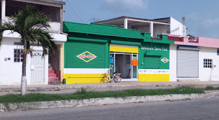 AF1QipNEt8I_zuTVu7qaIlmfUVNjPuXvoFH3N8iC8-ZKw438-h240-k-no.jpg