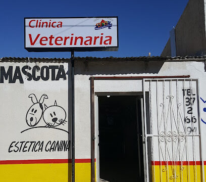 AF1QipO0MCDnxa22yT6xRYNZOfp6HVcNMRqcLZDKMtdPw408-h725-k-no.jpg
