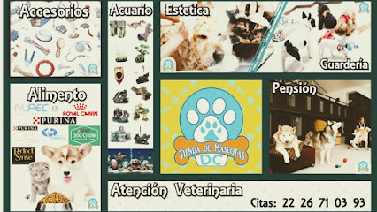 AF1QipO9EP-MqQi0X_vDbKXzzcxK1fqttlFdY1iWpRKww426-h240-k-no.jpg