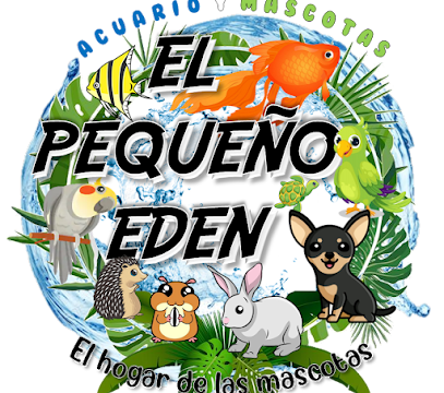 AF1QipOG1RVAoTPcjj34xQ5X1d5DWW6hb45puokCa8yDw408-h401-k-no.png