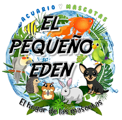 AF1QipOG1RVAoTPcjj34xQ5X1d5DWW6hb45puokCa8yDw408-h401-k-no.png