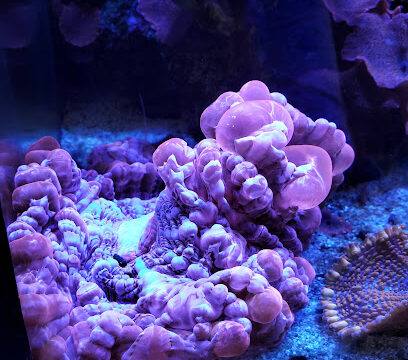 AF1QipOHIDIhG23xn2o2xYA1AAjoVwS1U7txKDAHjSFMw408-h544-k-no.jpg