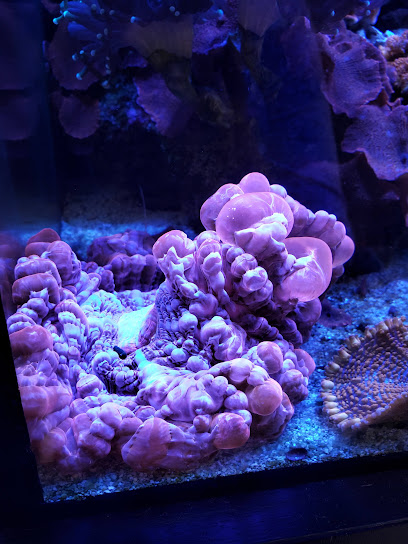 AF1QipOHIDIhG23xn2o2xYA1AAjoVwS1U7txKDAHjSFMw408-h544-k-no.jpg