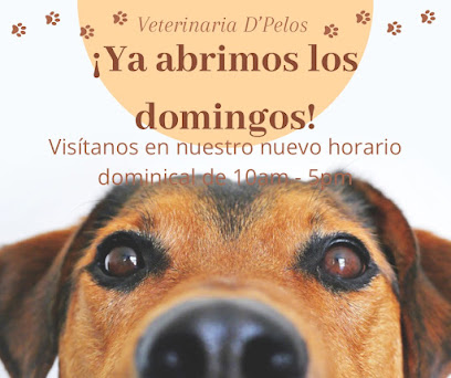 AF1QipOTyTFBDLBH6e2DVH8l2BbI02i48xCvAmNCmBcsw408-h342-k-no.jpg